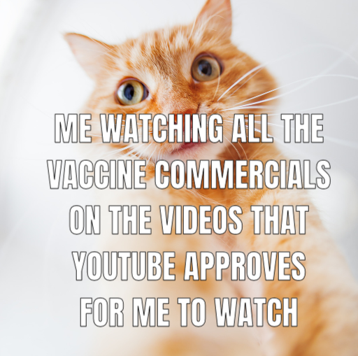 me watching vax videos meme